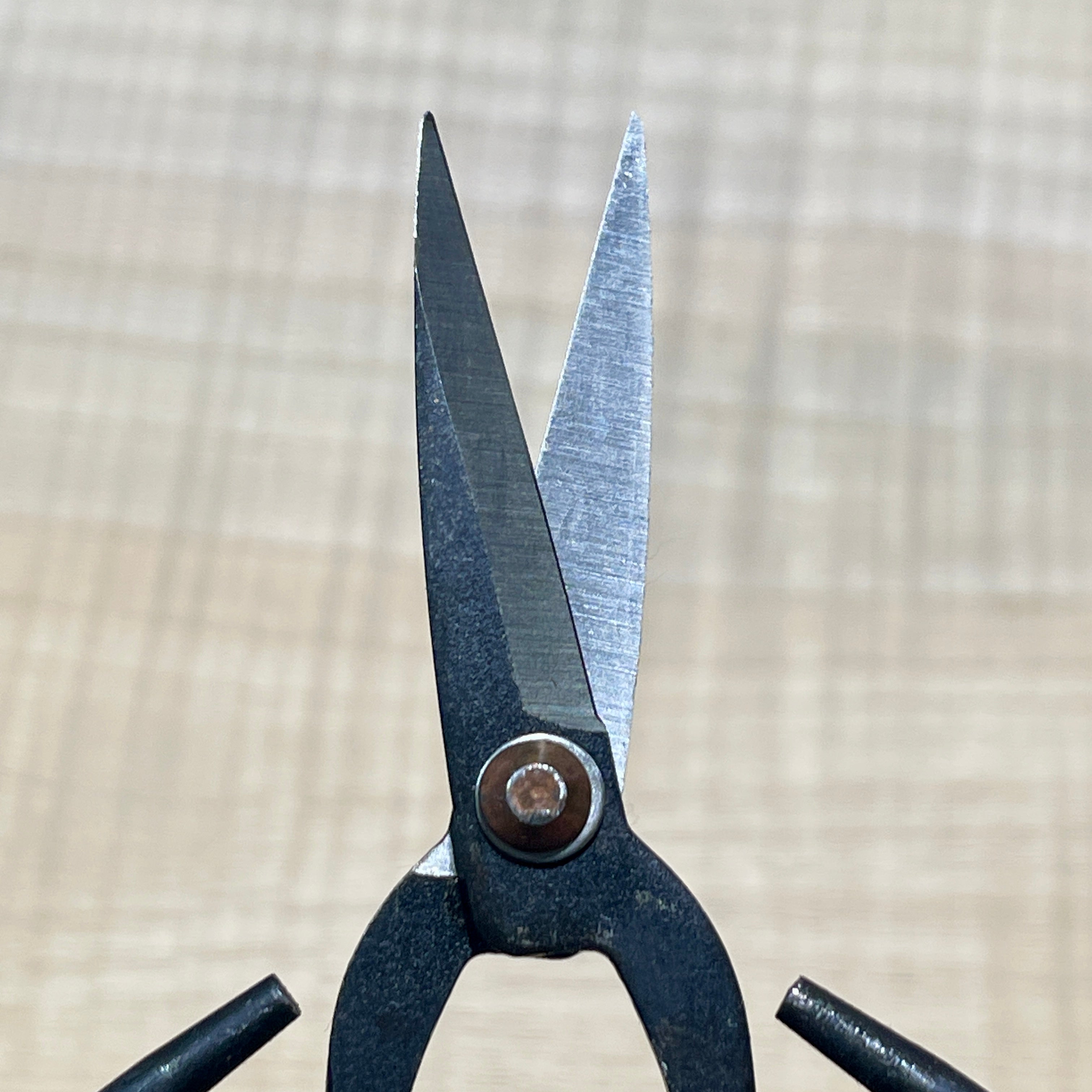 Harrison's Hardware® Traditional Chinese Scissors
