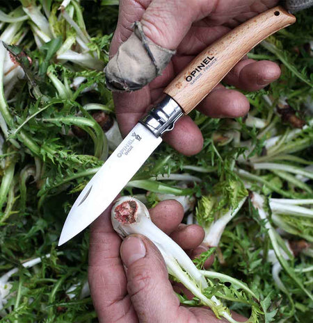 Opinel® N°08 Folding Gardening Knife