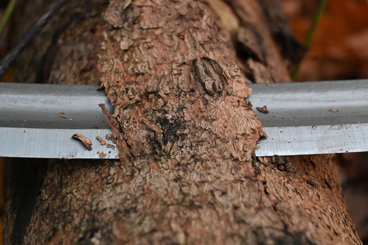 Woodcarving Draw Knife - Curved 250mm